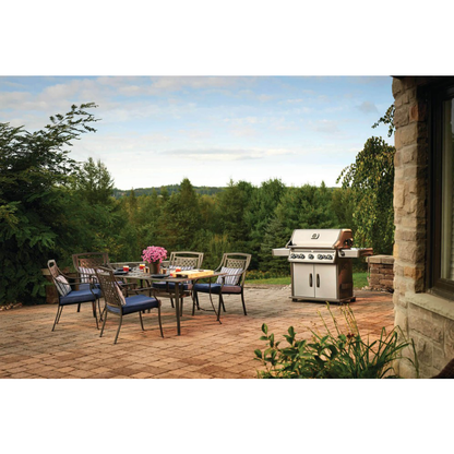 Napoleon Rogue SE 625 Gas Grill with Infrared Rear & Side Burners - RSE625RSIB